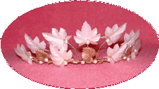 Click for More Photos