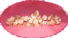 Click for More Photos