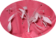 Click for More Photos